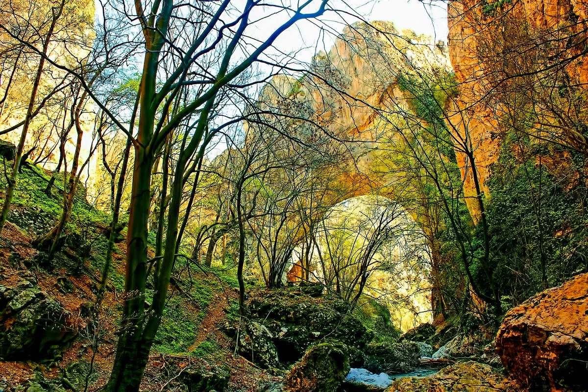 Vratna-Gates